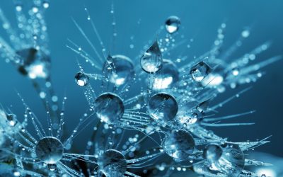 Clarity is the Ultimate Competitive Advantage